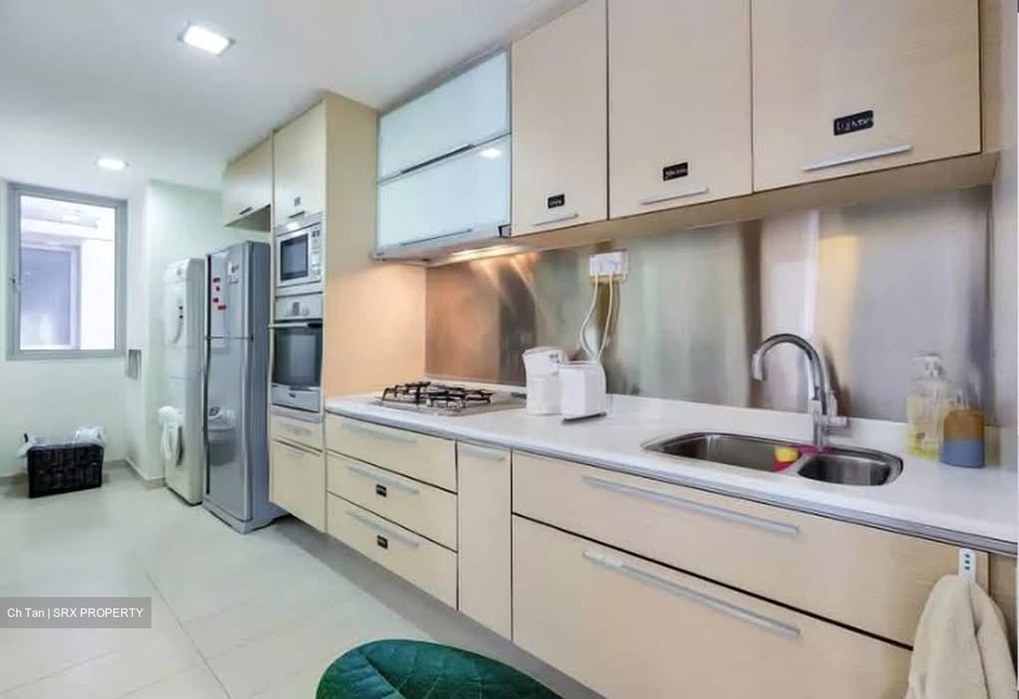 8 @ Mount Sophia (D9), Condominium #569999651